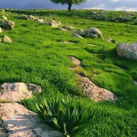 زمین-35متری-تجاری