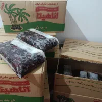 آخرین جشنواره فروش خرمای کبکاب برداشت امسال بوشهر