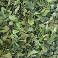 پودر و برگ مورینگا