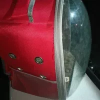 کوله‌و‌کیف حمل حیوان