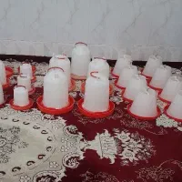 جای ابخوری و دانخوری