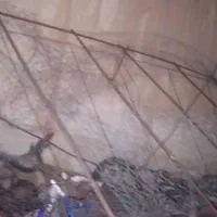 یک عدد دام کبوتر معامله با کبوتر