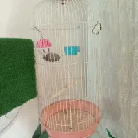 قفس سالم مناسب هر نوع پرنده بزرگ جا دار با جا ابو.