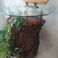 میز با تنه چوب طبیعی