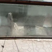 آکواریوم بزرگ