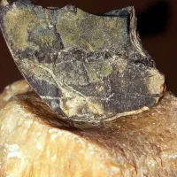 دو نمونه شهاب سنگ الماس دار الماس سیاه|کلکسیون اشیاء عتیقه|نورآباد ممسنی, |دیوار