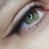 آرایش دائم میکرو بلیدینگ.شیدینگ لب.خط چشم وبن مژه|خدمات آرایشگری و زیبایی|رشت, باهنر|دیوار