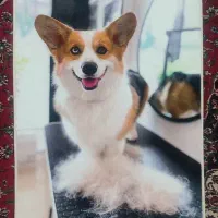 تابلو فرش رویال. چاپی