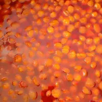 فروش انواع ترشک عمده در انواع طعم ها|خوردنی و آشامیدنی|بابل, |دیوار