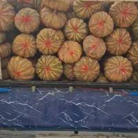 فروش کدو حلوایی انجیری تناژ نامحدود|عمدهفروشی|فراشبند, |دیوار