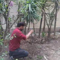 خدمات باغبانی سم پاشی تهران حومه