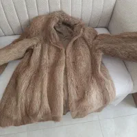 پالتو پوست