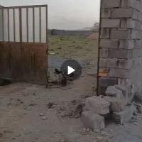 فروش-فوری-زمین-کشاورزی-سند-دار