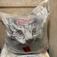 خاک گربه رایگان