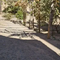 خانه باغ قدیمی برای عکاسی و فیلم برداری|خدمات پذیرایی، مراسم|سبزوار, کاشفی شمالی (دادگستری)|دیوار