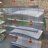 قفس مرغ و بلدرچین|ماشینآلات صنعتی|رفسنجان, |دیوار