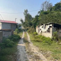 فروش زمین جنگلی در لفور|فروش زمین و ملک کلنگی|آلاشت, |دیوار