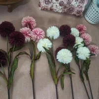 6شاخه گل سالم