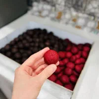 کوکی دبل چاکلت کوکی نیویورکی کیک تولد نون خامه ایی|خدمات پذیرایی، مراسم|تهران, افسریه جنوبی|دیوار