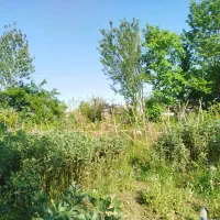 فروش زمین مسکونی ۲۰۰متر