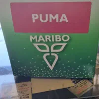 بذر پوما اصلی