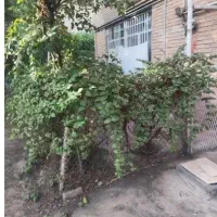 رهن آپارتمان ویلایی دو خوابه شهرک خانه|اجارهٔ آپارتمان|رباط‌کریم, پرندک|دیوار