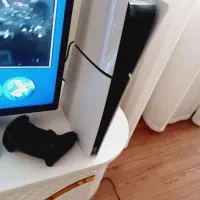 لیوان زیر خاکی