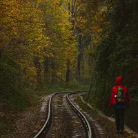 عکاسی پاییزی در جنگل‌های مازندران|خدمات پذیرایی، مراسم|بابلسر, |دیوار