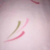 تولیدی سفره یکبار مصرف