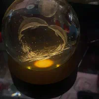 گوی دلفین  عاشقانه هدیه ولنتاین