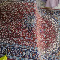 فرش لاهیجان|فرش|بوشهر, |دیوار