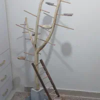 استند و پارک پرنده