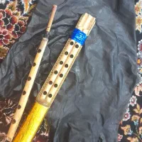 نی انبان