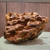 سنگ دراگون آکواریوم