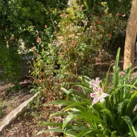 خوابگاه دخترانه (پانسیون) یکتا شعبه 3