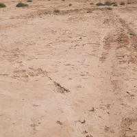 اجاره ۴۷ هکتار زمین کشاورزی