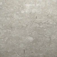 اجاره مغازه