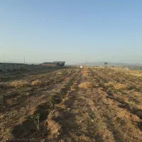 مزرعه ۴۰ هزار متری، سنددار،دیوار شده با تاسیسات|فروش زمین و ملک کلنگی|زرندیه, |دیوار