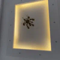 کار ساختمانی|خدمات پیشه و مهارت|پاکدشت, پاکدشت (مامازند)|دیوار