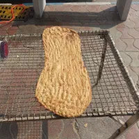 کاردر نانوایی بربری