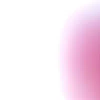 شناسنامه گم شده