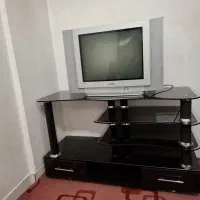 تلوزیون و زیرتلوزیون