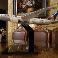 ماکت هواپیما boeing 787|کلکسیون و سرگرمی|کرج, کوی کارمندان جنوبی|دیوار