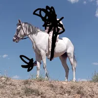 مادیون عرب پنج ساله