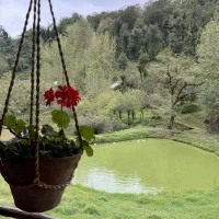 زن وشوهر جوان