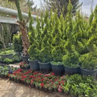 ارزش باغ ویلاتو۲برابرکن