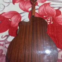 گیتار|گیتار، بیس، امپلیفایر|دزفول, |دیوار