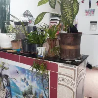 اجاره خانه ویلایی ۵۰ متری ۱ خوابه