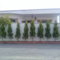 ۲۱۰متر ویلا تاپ لوکیشن شهر رویان خیابان فرهنگ|فروش خانه و ویلا|رویان, |دیوار