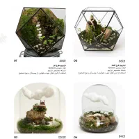 انواع تراریوم|گل و گیاه طبیعی|تبریز, |دیوار